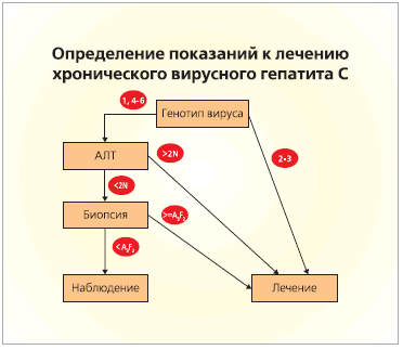 Частота обновления информации о гепатите С- фото № 1 Частота обновления информации о гепатите С