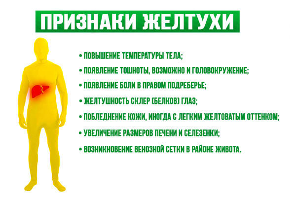 Коварный тихоня: вирусный гепатит С- фото № 1 Коварный тихоня: вирусный гепатит С